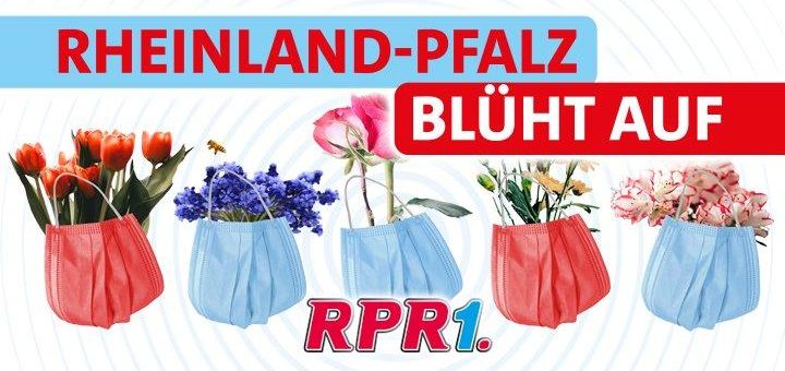 Rheinland-Pfalz blüht auf