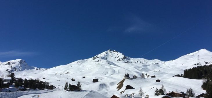 Zwischenbilanz zum Geschäftsjahr 2019/2020: nach Jubelmonaten in Schockstarre