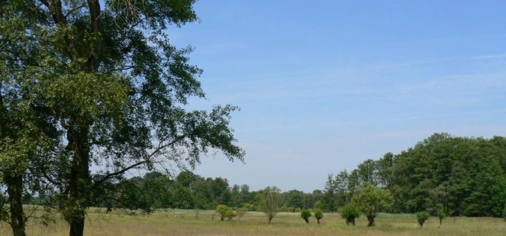 Erholung bitte nicht auf Kosten der Natur