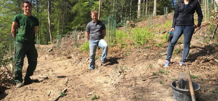 Klimaschutz beginnt hier. Mit mir! Die IT-HAUS GmbH pflanzt 70 neue Bäume im Rahmen eines eigenen Umweltprojektes
