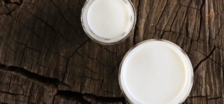 Die Corona-Pandemie enthüllt die Fragilität des ‚Systems Milch‘