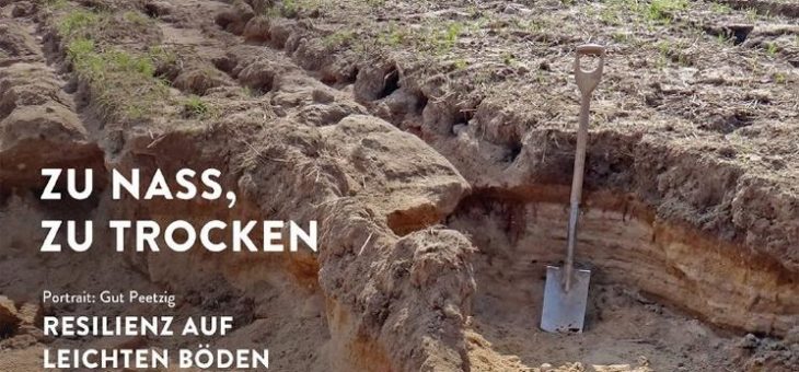 Zu nass oder zu trocken!