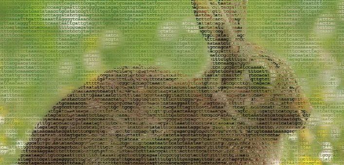 Neue Gentechnik in Natur und Landschaft ?