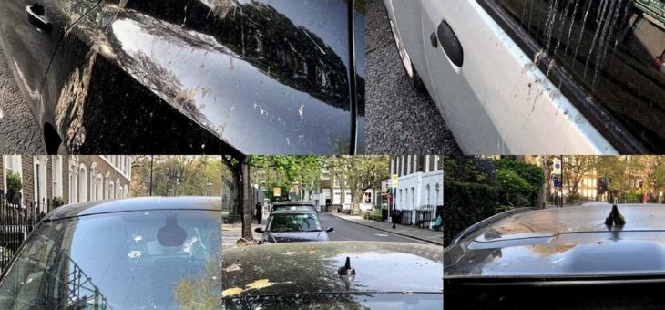 Künstlicher Vogelkot: Ford optimiert Fahrzeug-Lackierungen unter realitätsnahen Bedingungen