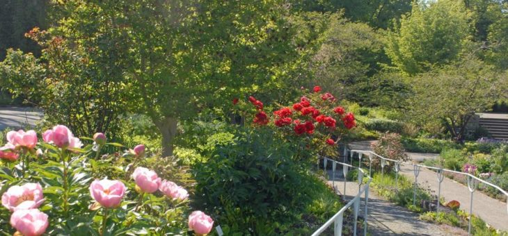 Botanischer Garten München-Nymphenburg  voraussichtlich bis 18. Mai 2020 geschlossen