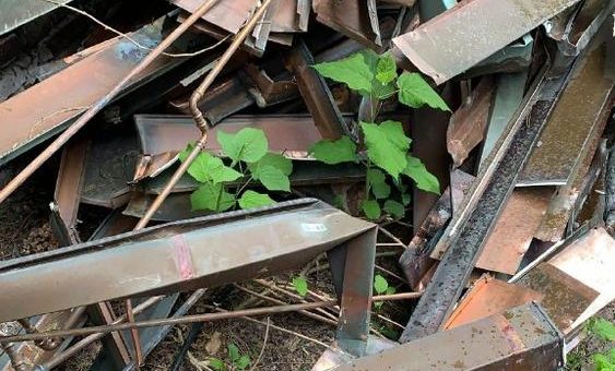 In Duisburg Altmetall Ankauf für Beste Preise mit Schrotthändler NRW