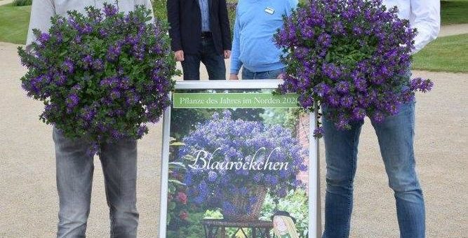 Trendsetterin des Sommers im Park der Gärten