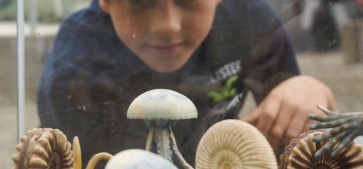 Natureum erneut als besonders kinderfreundlich ausgezeichnet