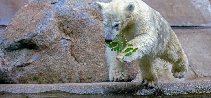 Hellabrunn und die ersten Tage nach Wiederöffnung