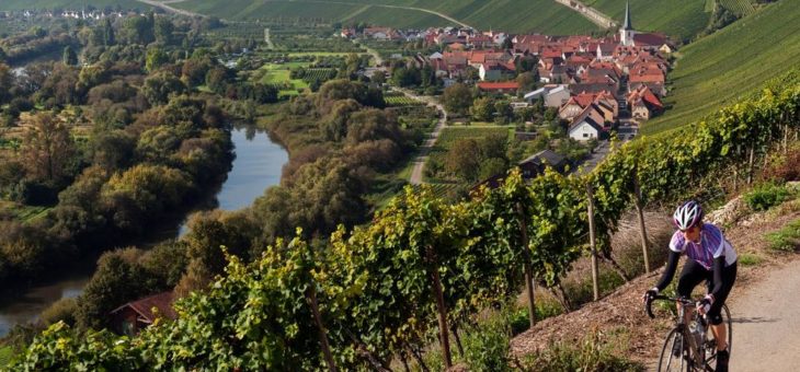Wege zum Wein: Fünf Ideen für den Kurzurlaub im Fränkischen Weinland