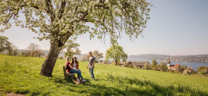 Heimatverbunden & erlebnisreich: Pfingsten in Konstanz am Bodensee