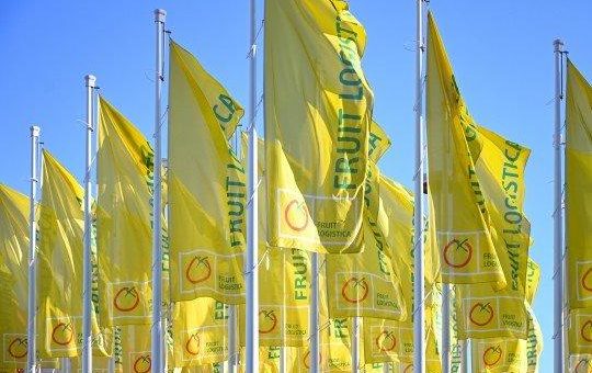 FRUIT LOGISTICA 2021: Neue Perspektiven für den globalen Fruchthandel