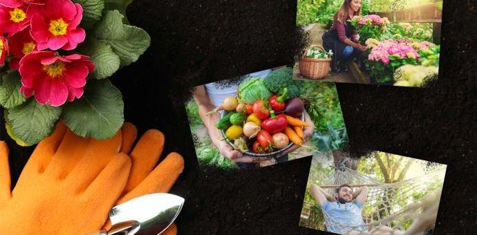 Ab in den Garten! – Die Gartentrends 2020