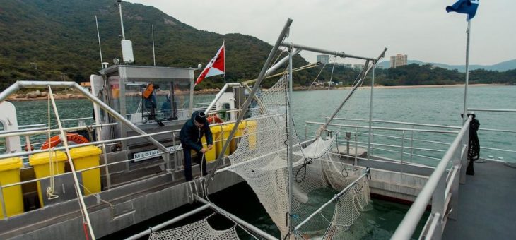 Meere von Plastikmüll befreien: Lottoland unterstützt One Earth – One Ocean