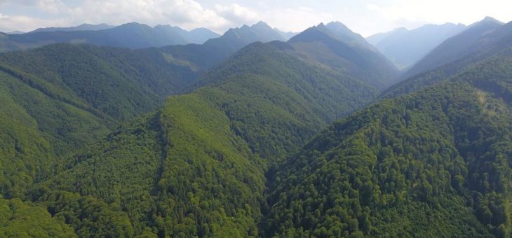 Endlich eine klare Ansage: EuroNatur begrüßt Biodiversitätsstrategie für EU