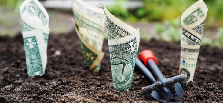 European Banking Federation:  Online Workshop zu Bank-Domains