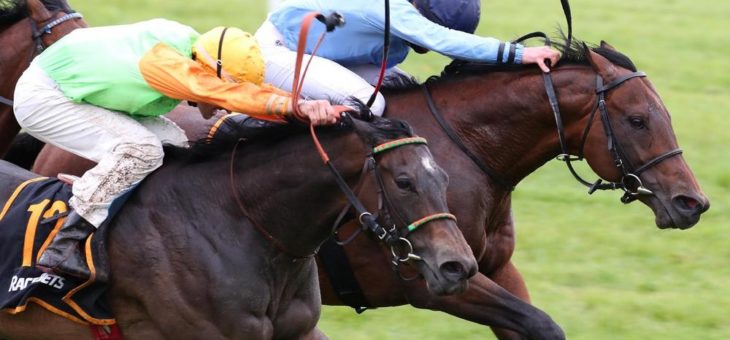 BADEN RACING: Namos wiederholt Vorjahressieg in der Silbernen Peitsche beim Frühjahrsmeeting