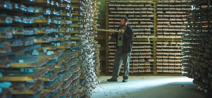 Haywood Analysten geben Treasury Metals Kursziel von 0,85 CAD