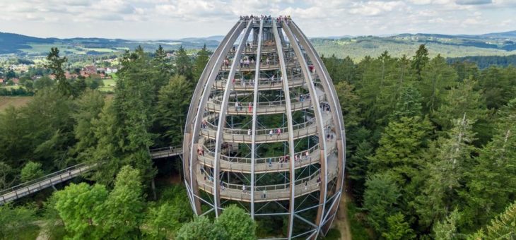 Die Baumwipfelpfade der Erlebnis Akademie AG