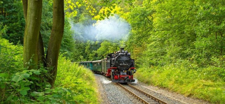 Dampfbahnen im Elbland zu Pfingsten häufiger unterwegs