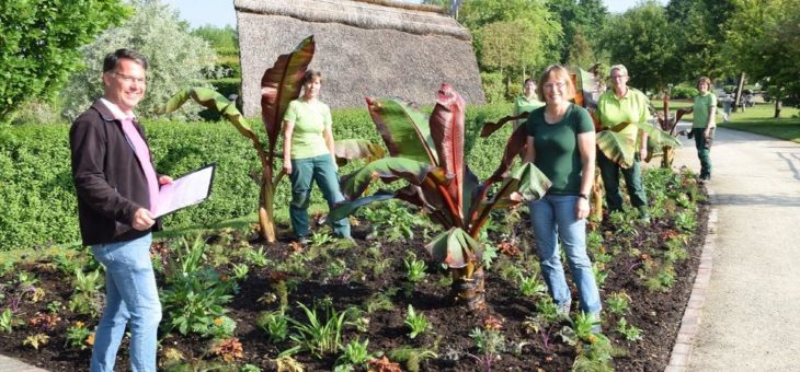 Sommerblüher werden jetzt gepflanzt