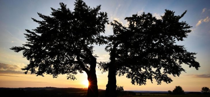 Aufregend, naturnah und abwechslungsreich