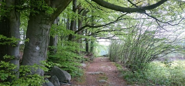 Geo-Naturpark: Unterwegs im Einklang mit der Natur