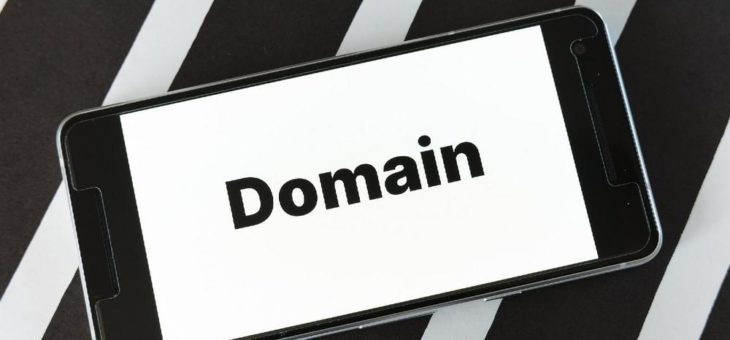 How to get my Domain back, if a Domain Squatter has registered it?