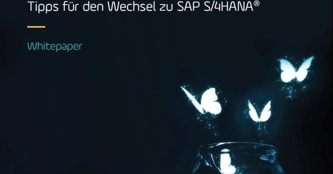 Panaya zeigt in neuem Whitepaper den Weg zu SAP-Agilität und gibt Tipps für die Implementierung von SAP S/4HANA