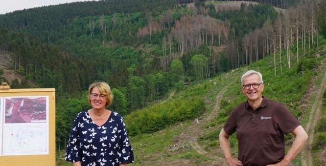 „Wiederaufforstung muss gefördert werden“