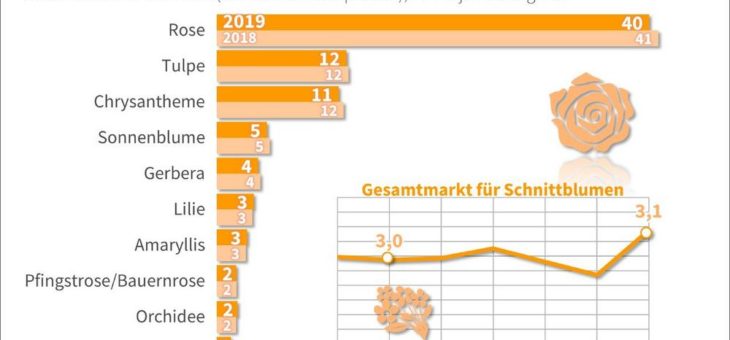 Zierpflanzen: Vorlieben der Deutschen stabil