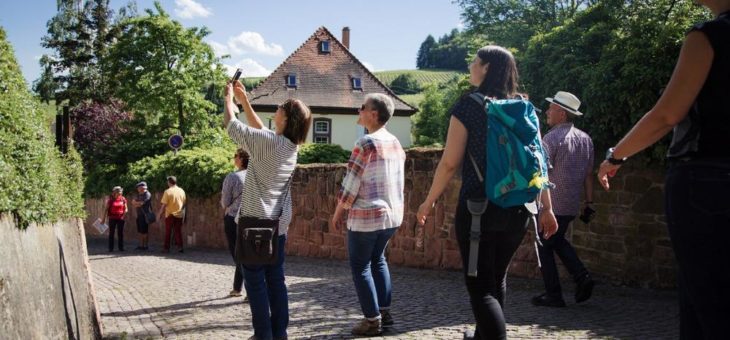 Stadt- und Gästeführungen an der Südlichen Weinstraße