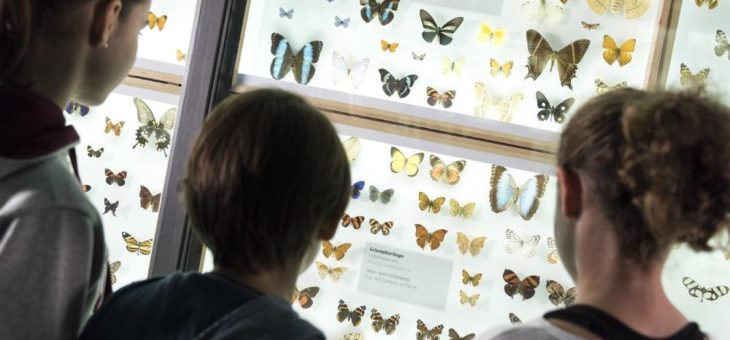 Museumslust statt Urlaubsfrust Sommerferienprogramm im Museum Wiesbaden
