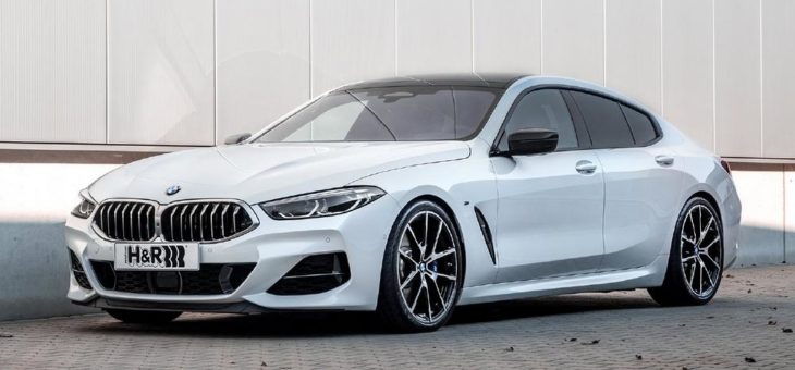 Mit Rennsport-Genen