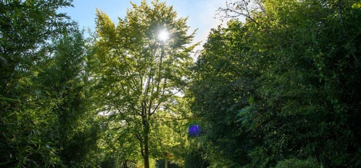 Gedämpfte Freude in Hellabrunn über weitere Corona-Lockerungen