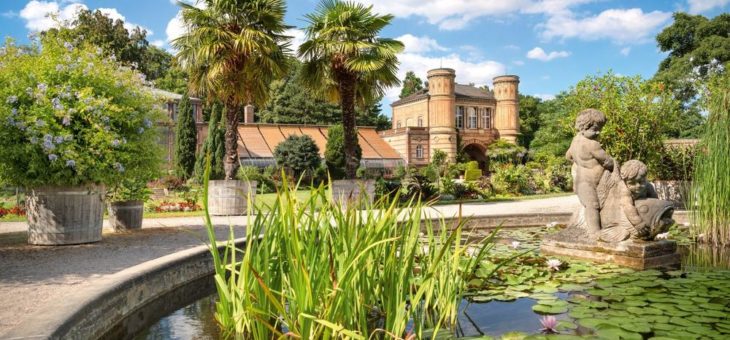 Der Botanische Garten Karlsruhe öffnet seine Schauhäuser wieder!
