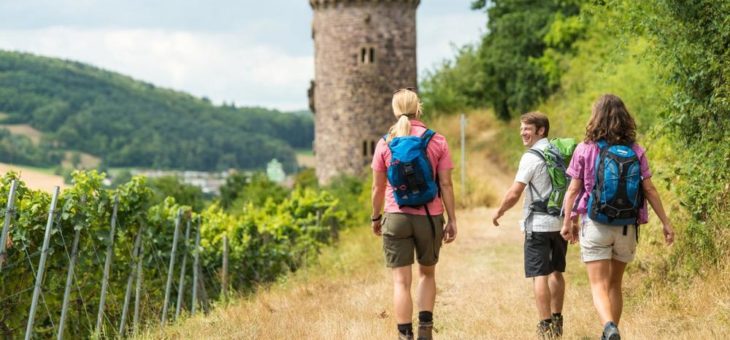 Wandern, Wein und Kulinarik