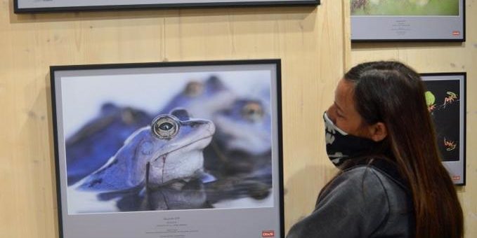 Neue Sonderausstellung „Glanzlichter 2019“ im Nationalparkzentrum Thiemsburg zu sehen
