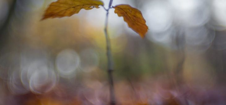 Von schwarzweiß bis kunterbunt