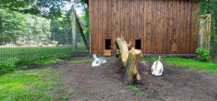 Neues Zuhause für die Kaninchen vom Wildpark Müden
