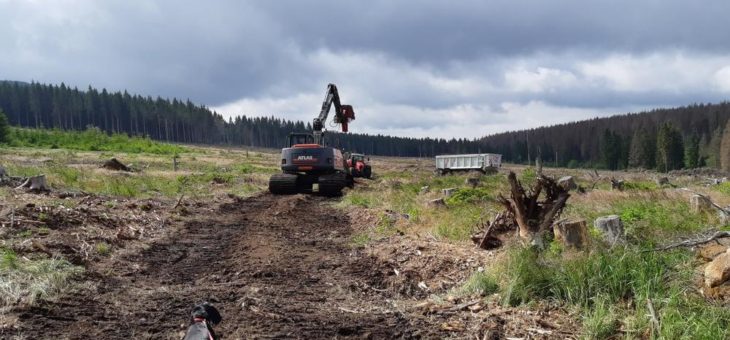 Landesforsten renaturieren ein Waldmoor am Wurmberg