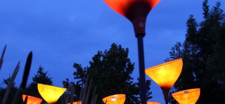 Neues Jahreshighlight: Illumination – Spezial 2020