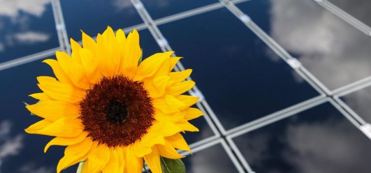 Baubeginn für Solarpark