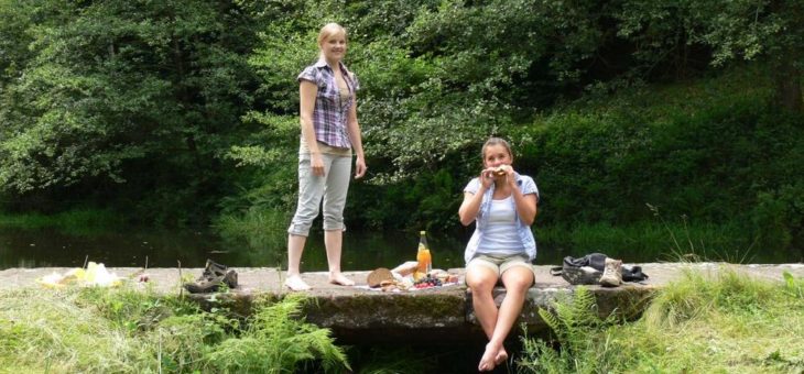 Mehr Besucherinnen und Besucher im Pfälzerwald