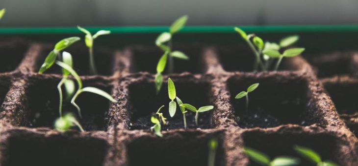 Slow Food fordert von der Bundesregierung: Würdige Bedingungen für Mensch und Tier bei der Herstellung von Lebensmitteln