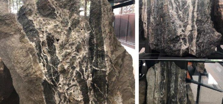 Excellon Resources gibt dem Silberbergbau im sächsischen Freiberg eine neue Chance