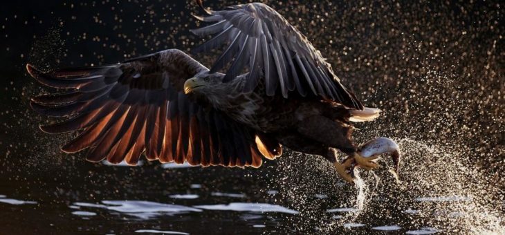 Beeindruckende Naturaufnahmen