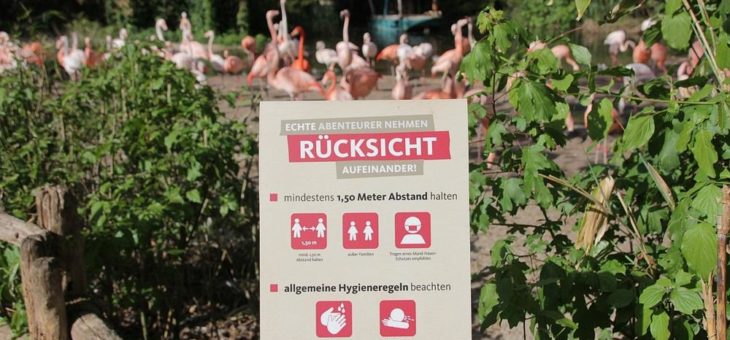 Tierische Freude: Erlebnis-Zoo Hannover öffnet in Kürze wieder – mit Schutzkonzept