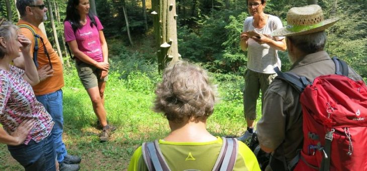 Von Einwanderern und Auswanderen: Auf den Spuren des Klimawandels
