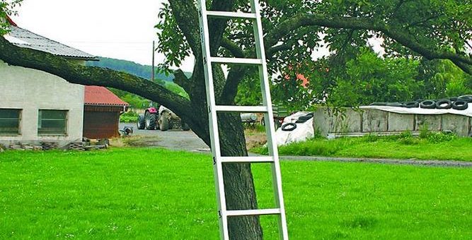 Die beste Leiter ist keine Leiter